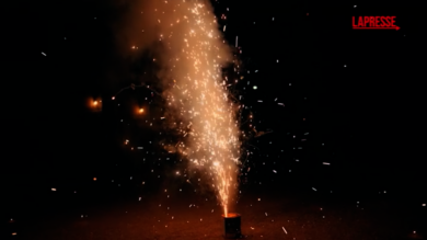 Capodanno, campagna anti-botti di LAV: “Festa non è il petardo, ma l’anno che verrà”