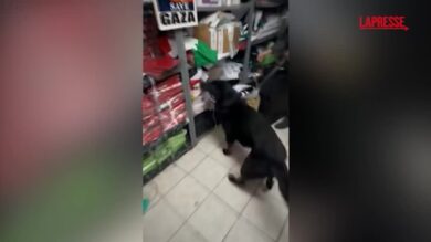 Terrorismo, arresti per finanziamenti ad Hamas: sacco pieno di soldi trovato durante perquisizioni