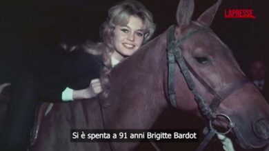 Brigitte Bardot attivista per gli animali: quella volta che protestò in una moschea a Parigi