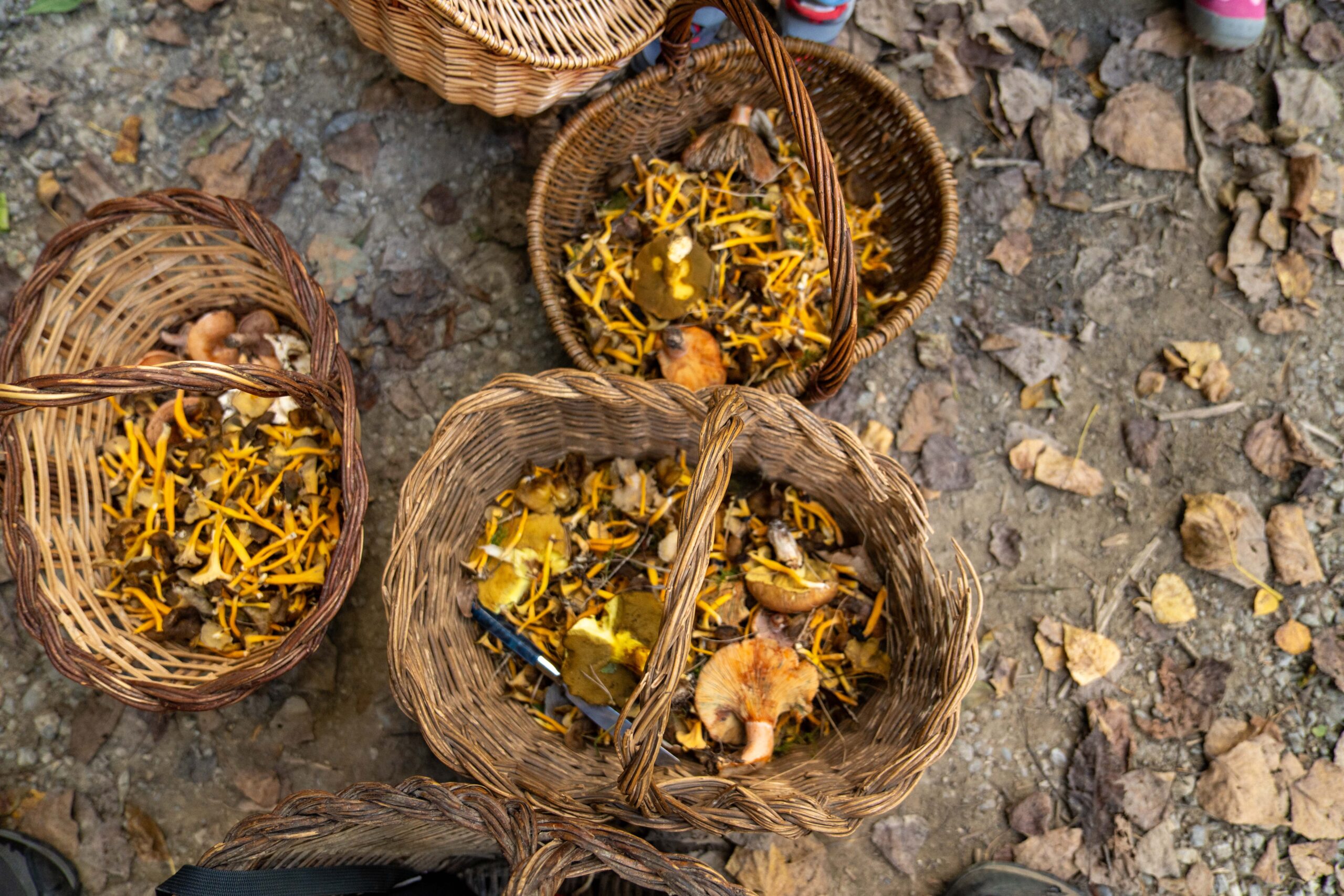 Intossicazione alimentare, morte madre e figlia 15enne a Campobasso