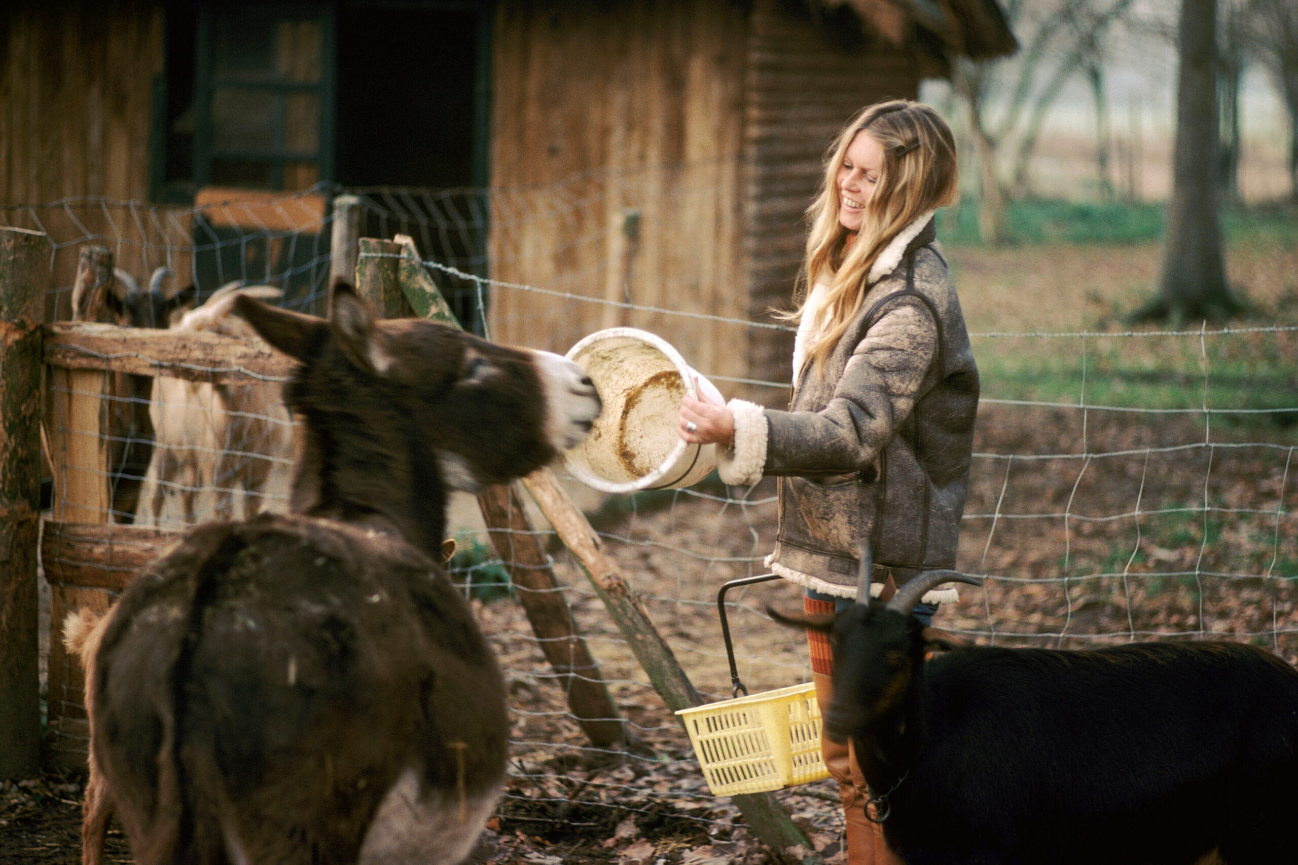 Brigitte Bardot, l’attivismo (estremo) per gli animali e le accuse di razzismo