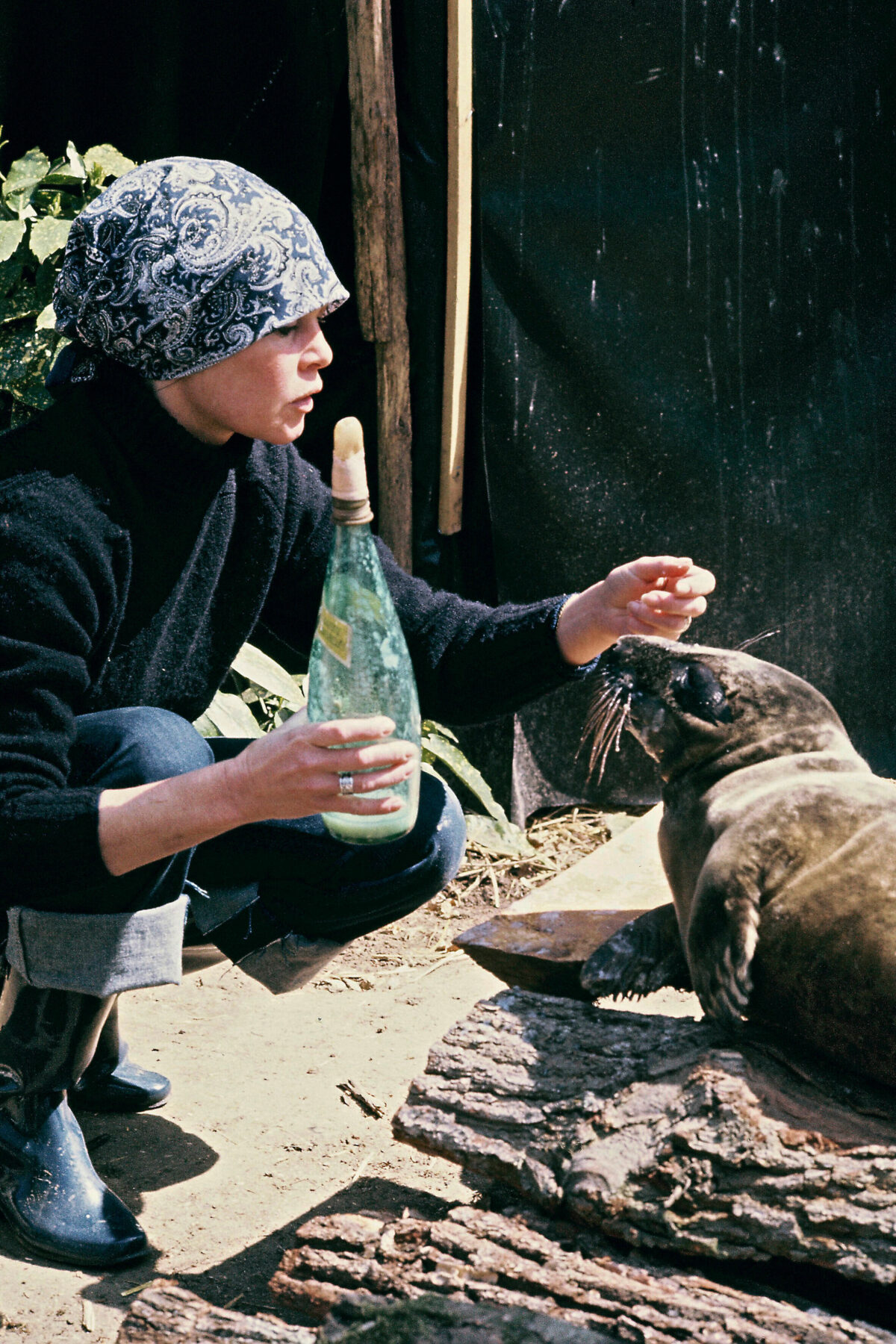 Brigitte Bardot, l’attivismo (estremo) per gli animali e le accuse di razzismo