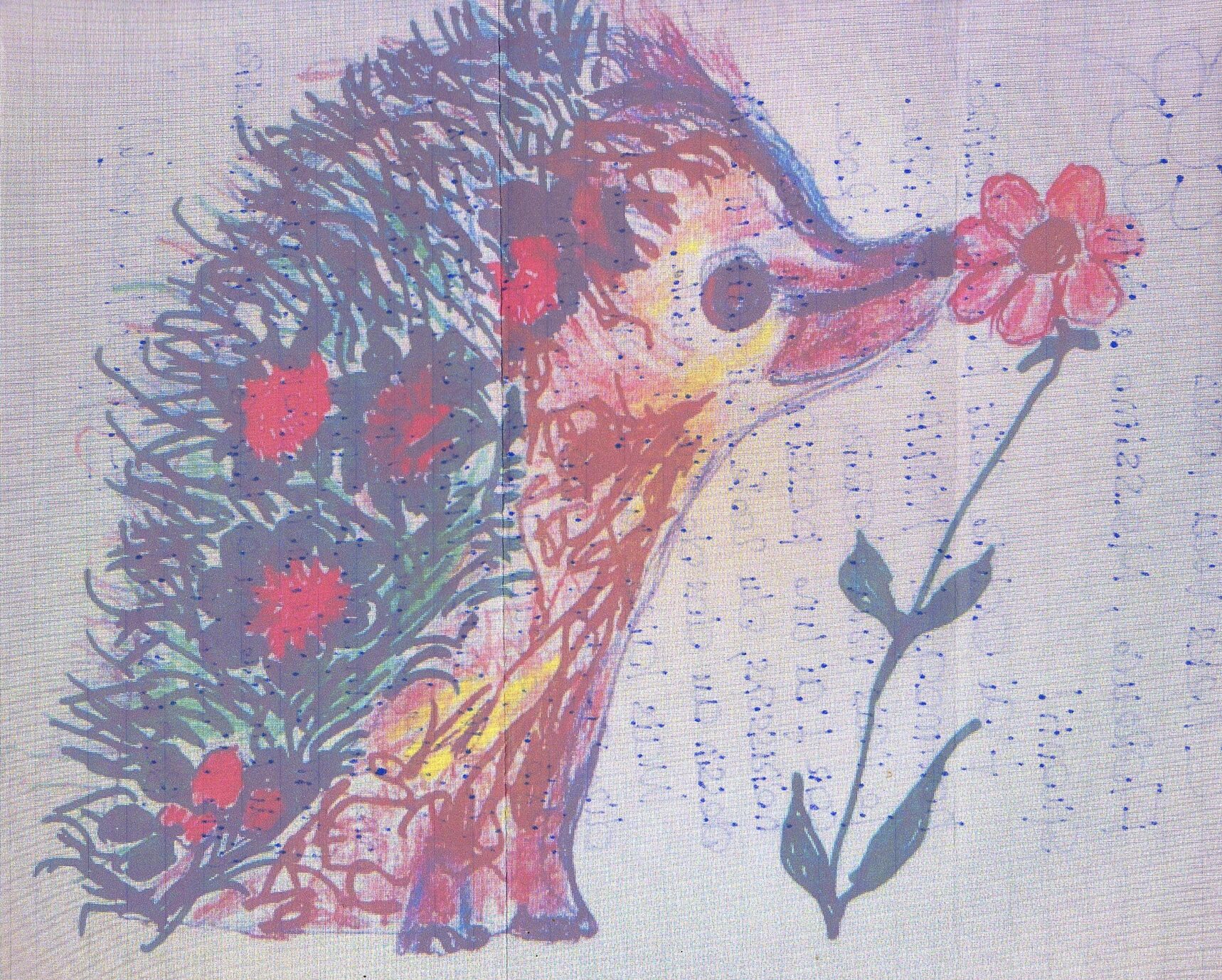 Brigitte Bardot, l’attivismo per gli animali e la passione per i ricci Brigitte Bardot, l’attivismo per gli animali e la passione per i ricci