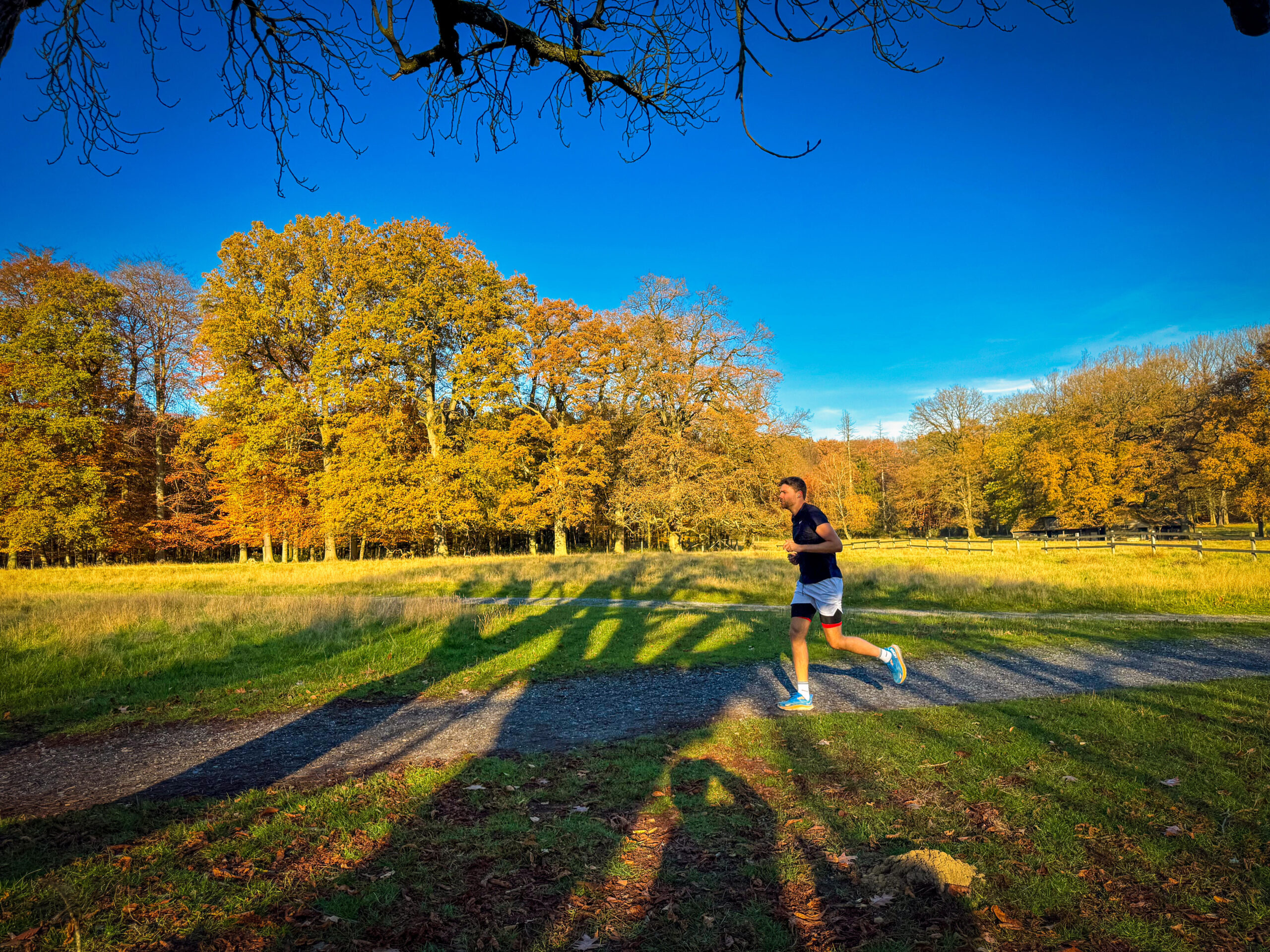 10 buoni propositi per un 2026 a tutta salute
