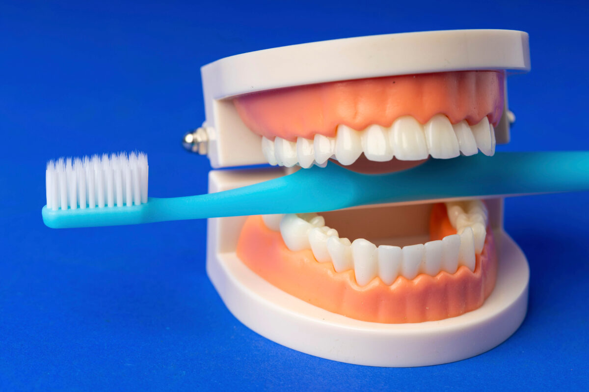 masticare fa bene al cervello la scoperta da Lapresse.it masticare fa bene al cervello la scoperta