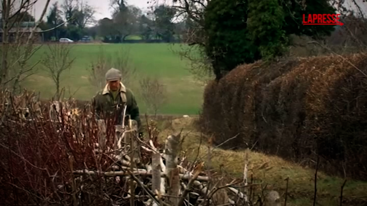 carlo iii ecco il trailer di finding harmony a king s vision il docufilm sul re britannico