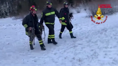 Udine, soccorso cervo intrappolato nel lago di Cave ghiacciato