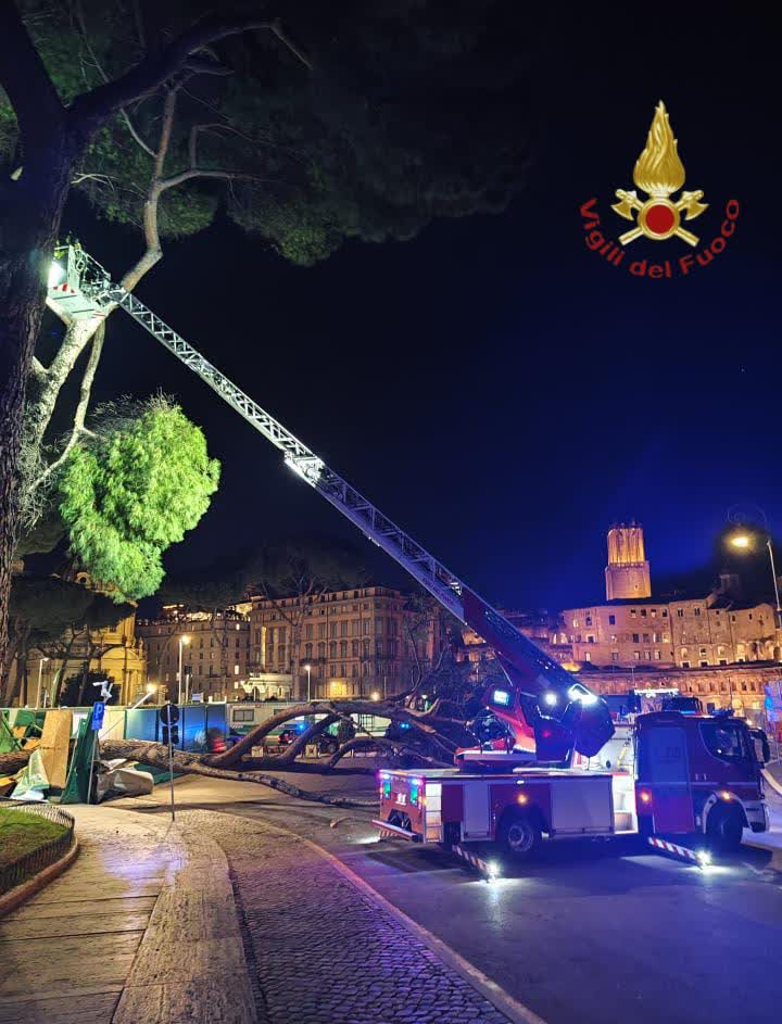 Roma, albero cade ai Fori Imperiali: intervengono i vigili del fuoco
