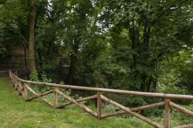 Due cani seviziati e uccisi in parco a Cagliari