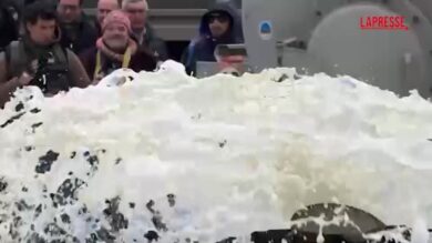 Milano, manifestanti versano latte davanti a palazzo Regione