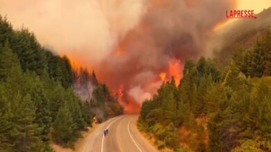 Argentina, il video dell'impressionante incendio nella foreste della Patagonia