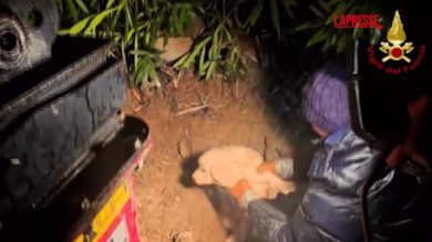 Cosenza, i Vigili del Fuoco salvano una cagnolina con i suoi 2 cuccioli bloccati in una tubatura