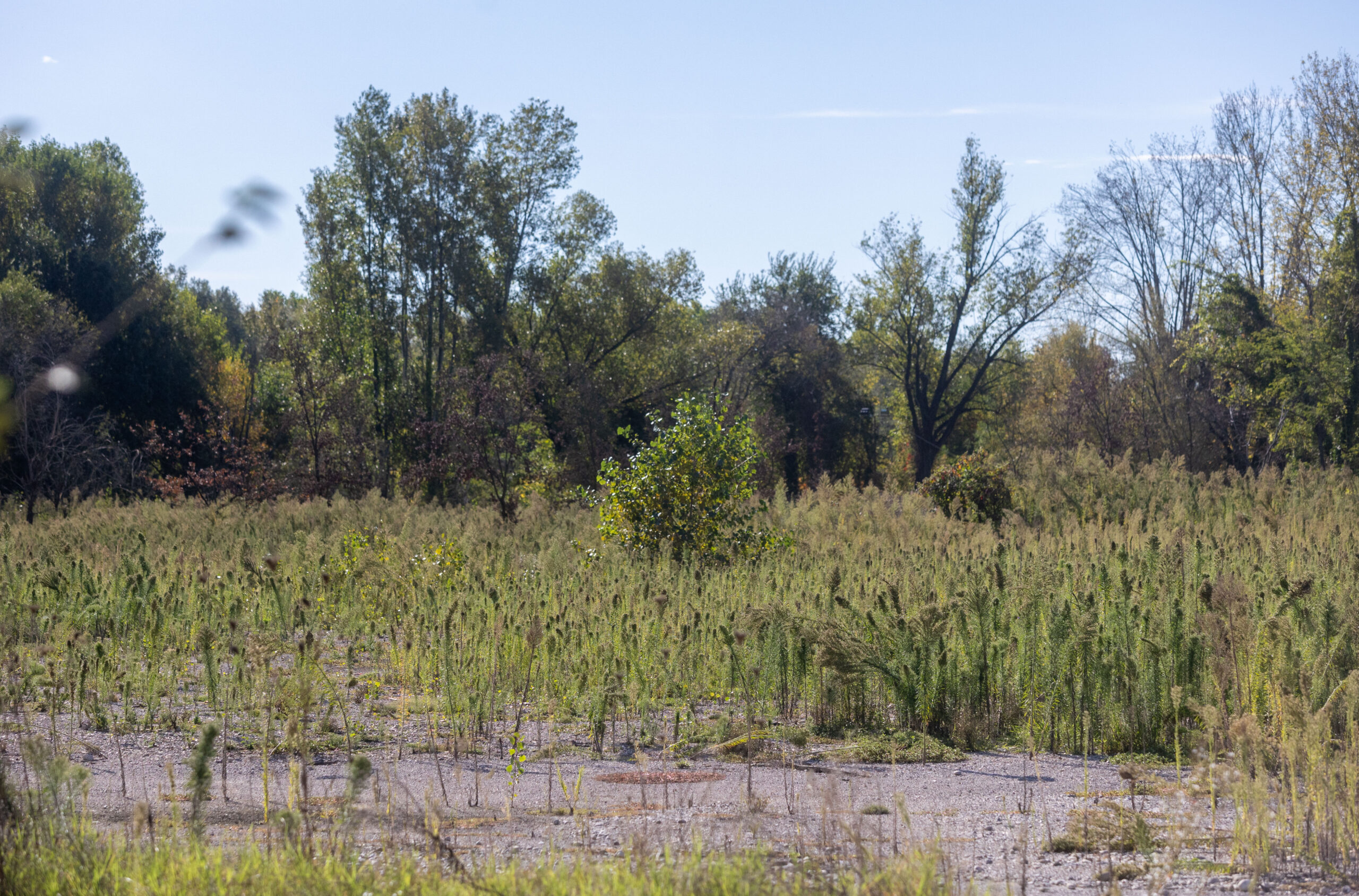 Verona, 14enne scomparso da giorni: continuano le ricerche