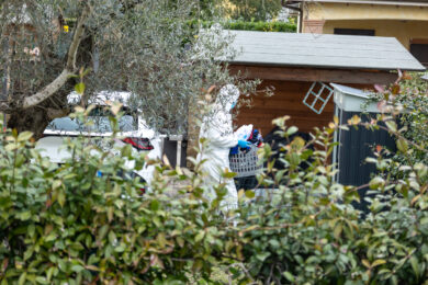 Federica Torzullo scomparsa ad Anguillara, nuovi rilievi del Ris nella cava del marito