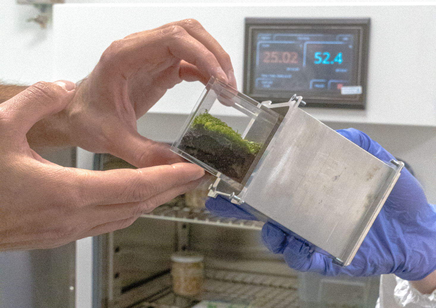 Miniaturizzare la vita per conquistare lo spazio, il box bionico