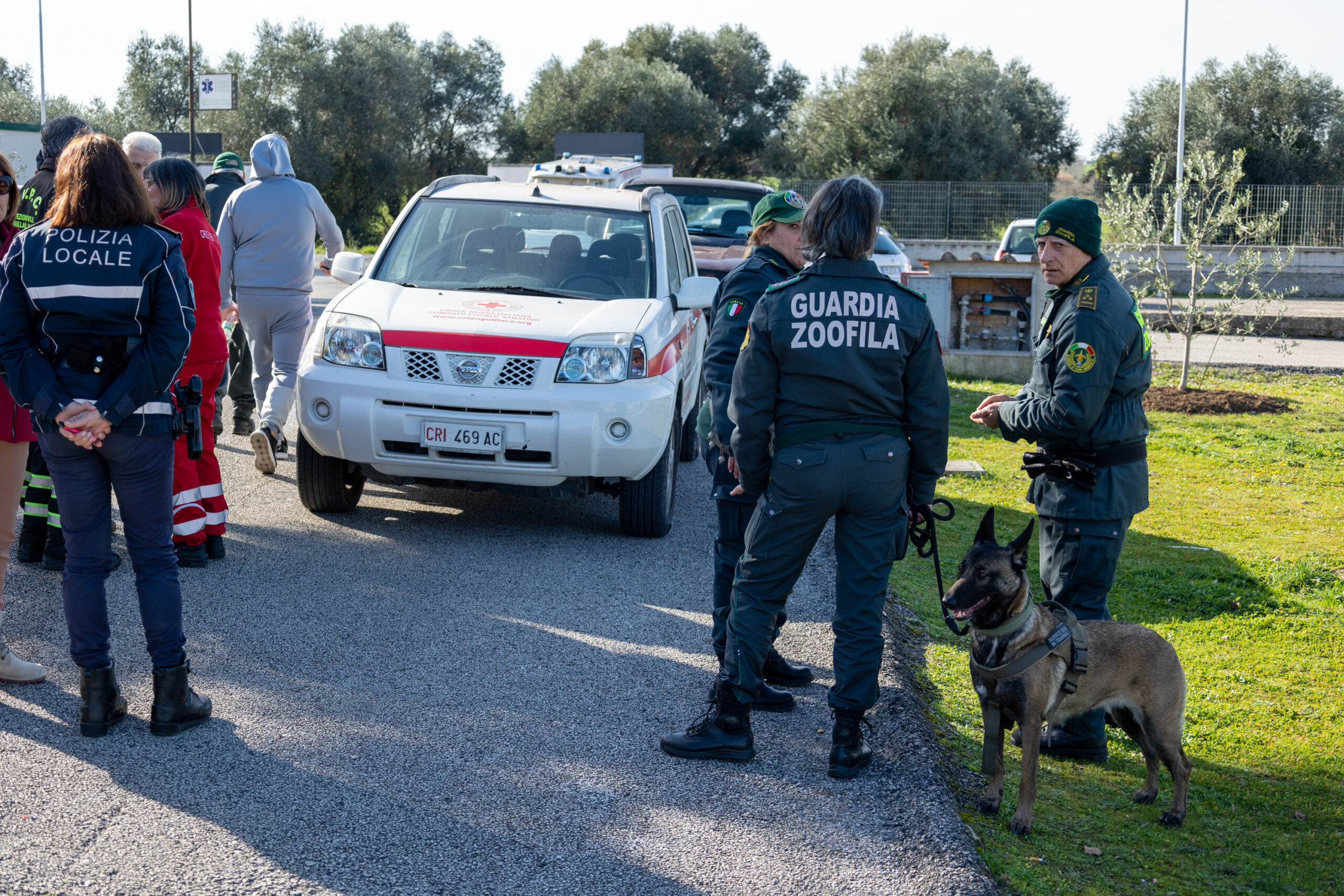 Federica Torzullo scomparsa ad Anguillara, la procura: “Repertate tracce di sangue dappertutto”