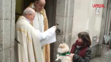 Madrid, decine di animali domestici ricevono benedizioni in occasione della Festa di Sant'Antonio