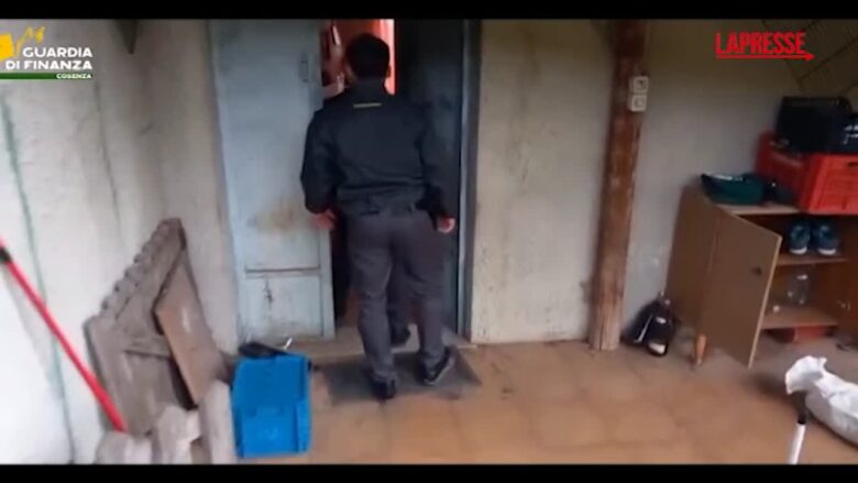 Cosenza, maxi operazione antidroga: sequestrati 5,5 kg di cocaina e arrestate cinque persone