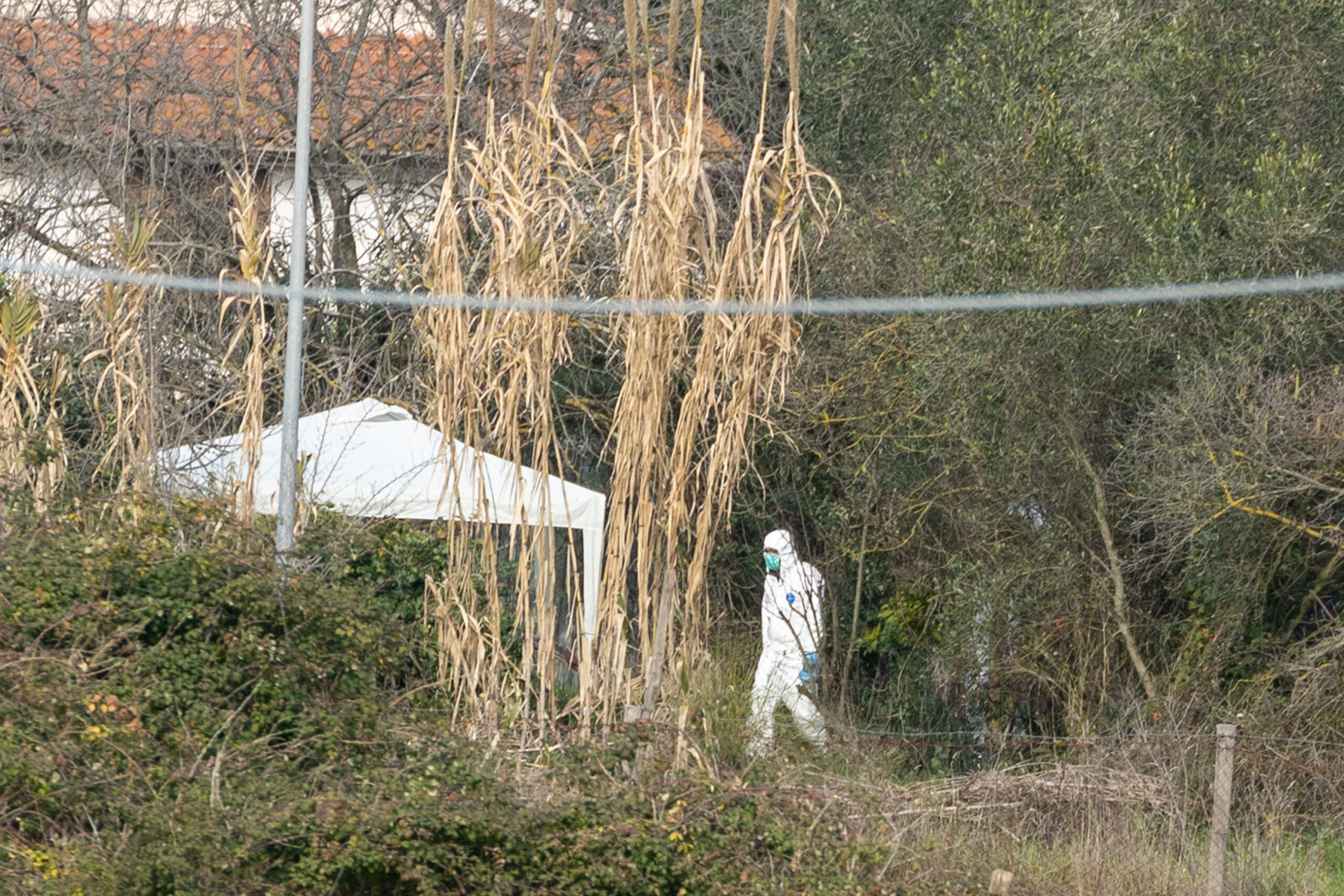 Federica Torzullo, il procuratore: “Omicidio particolarmente violento, usata molta cattiveria”