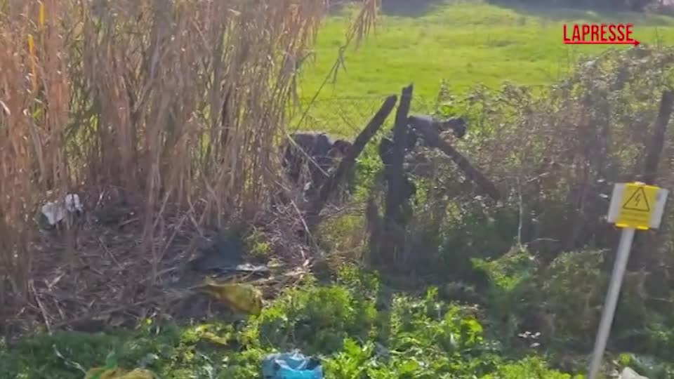 Femminicidio Anguillara, le ricerche dell'arma del delitto col metal detector