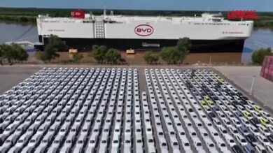 Argentina, nave carica di auto elettriche cinesi arriva al porto di Zarate: l'imponente distesa di veicoli sulla banchina