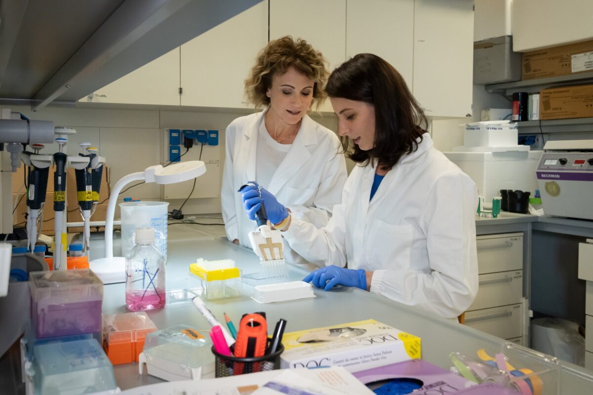 Una nuova strategia per la sclerosi multipla: potenziare il sistema immunitario Una nuova strategia per la sclerosi multipla: potenziare il sistema immunitario