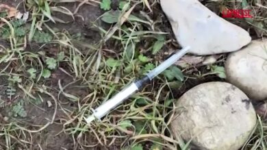 Milano, a Rogoredo il giorno dopo la sparatoria: il 'parco della droga' tra siringhe e rifiuti