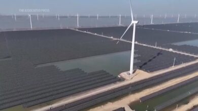 Tg Green 29 gennaio 2026 – Il solare e l'eolico superano le fonti fossili