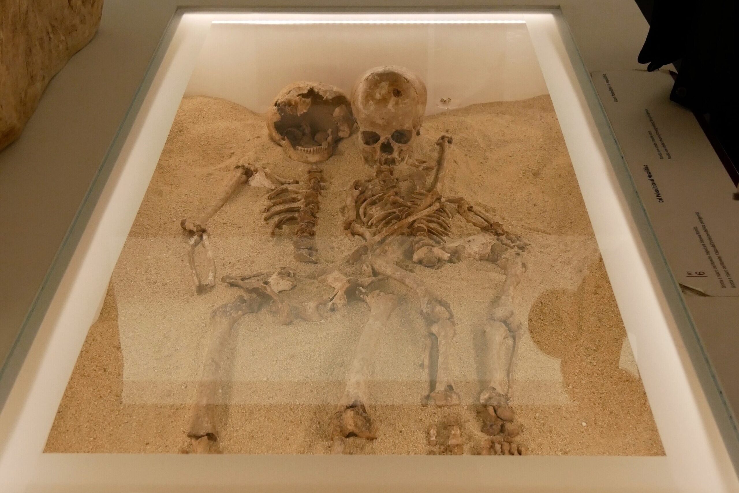 Il mistero della Grotta del Romito svelato dal Dna dopo 12mila anni Il mistero della Grotta del Romito svelato dal Dna dopo 12mila anni