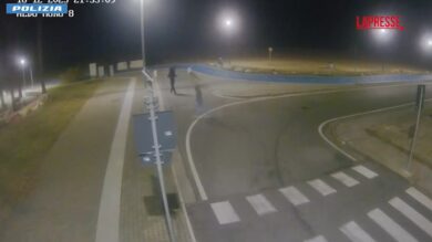 Rapine a mano armata con machete e cani da combattimento: 4 arresti a Fermo