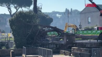 Roma, al via i lavori di messa in sicurezza dell’albero caduto a via dei Fori Imperiali