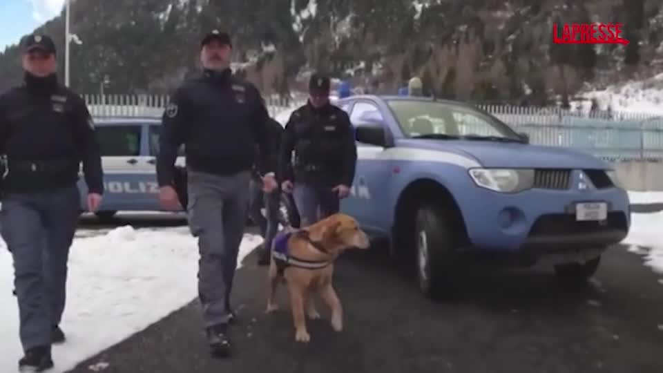 milano cortina 2026 artificieri e cinofili della polizia di stato nei siti olimpici