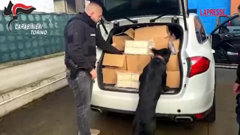 Torino: sequestrata mezza tonnellata di droga con tre arresti, l'operazione dei carabinieri