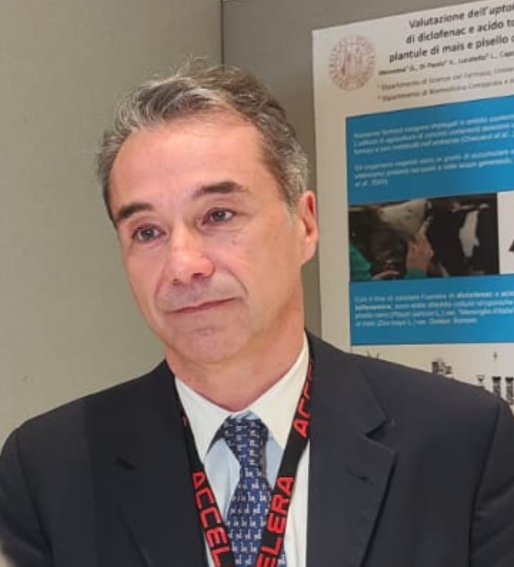 Rebecca Passler positiva al letrozolo: la verità nei capelli, parla il tossicologo Rebecca Passler positiva al letrozolo: la verità nei capelli, parla il tossicologo