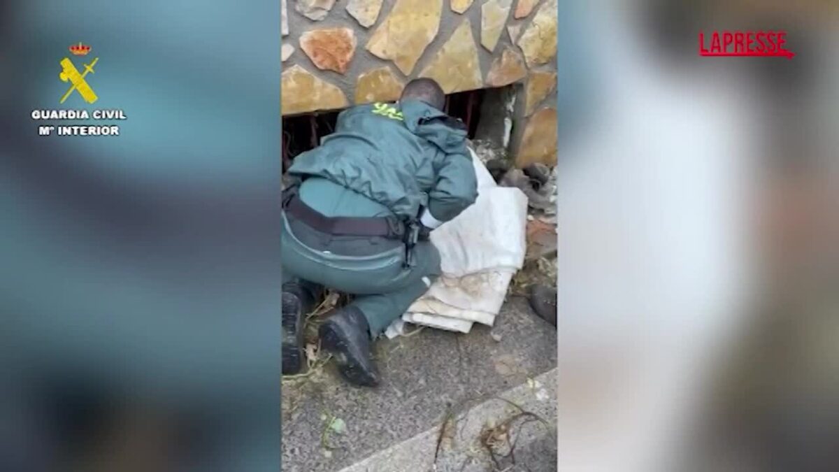Spagna, maltempo in Andalusia: la Guardia Civil salva due cani intrappolati in uno scantinato