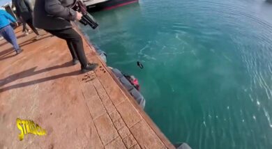 Striscia la notizia, cameraman scaraventato in mare a Crotone durante inchiesta su pesca illegale