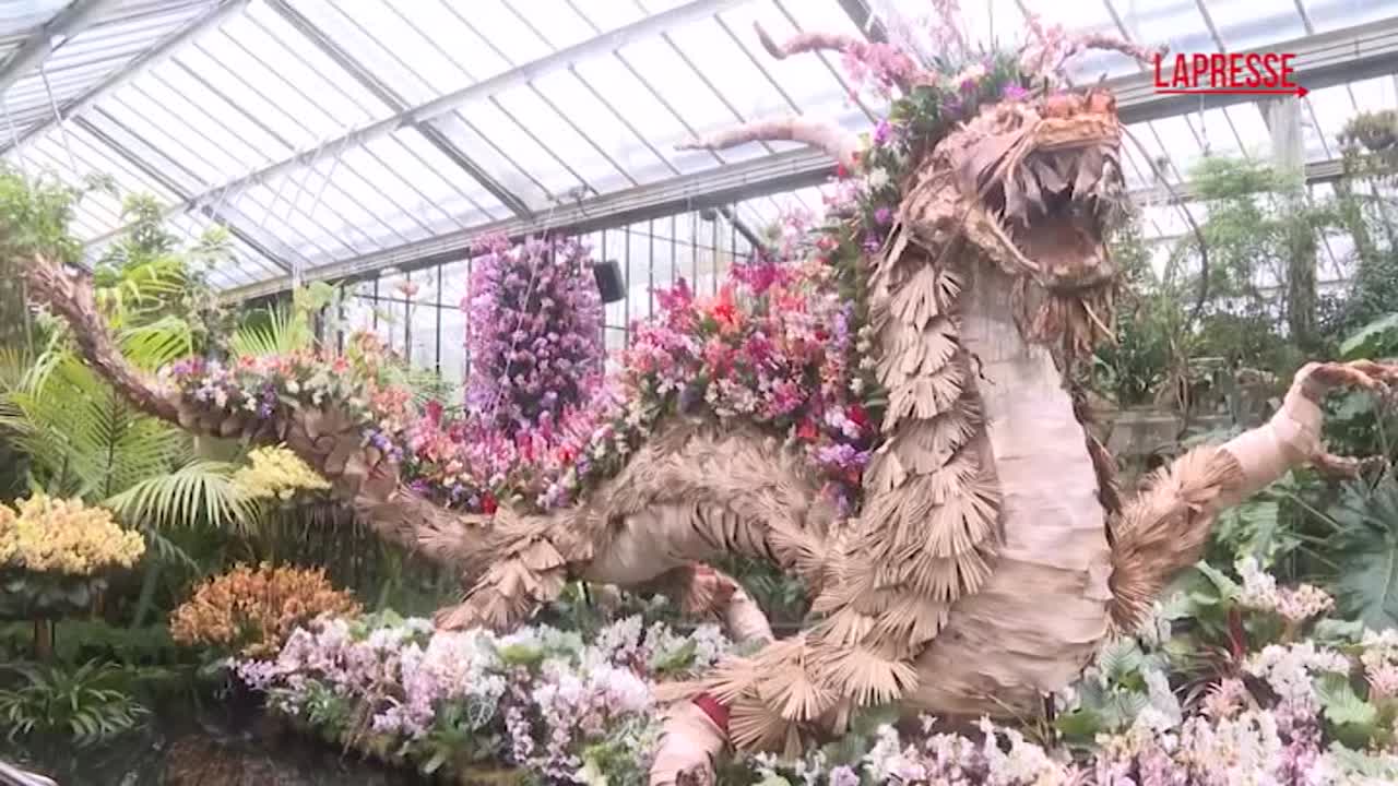 Londra, il festival delle orchidee celebra la biodiversità della Cina
