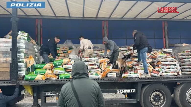 Massa, un quintale di cocaina in un tir: ecco dove si trovava la droga