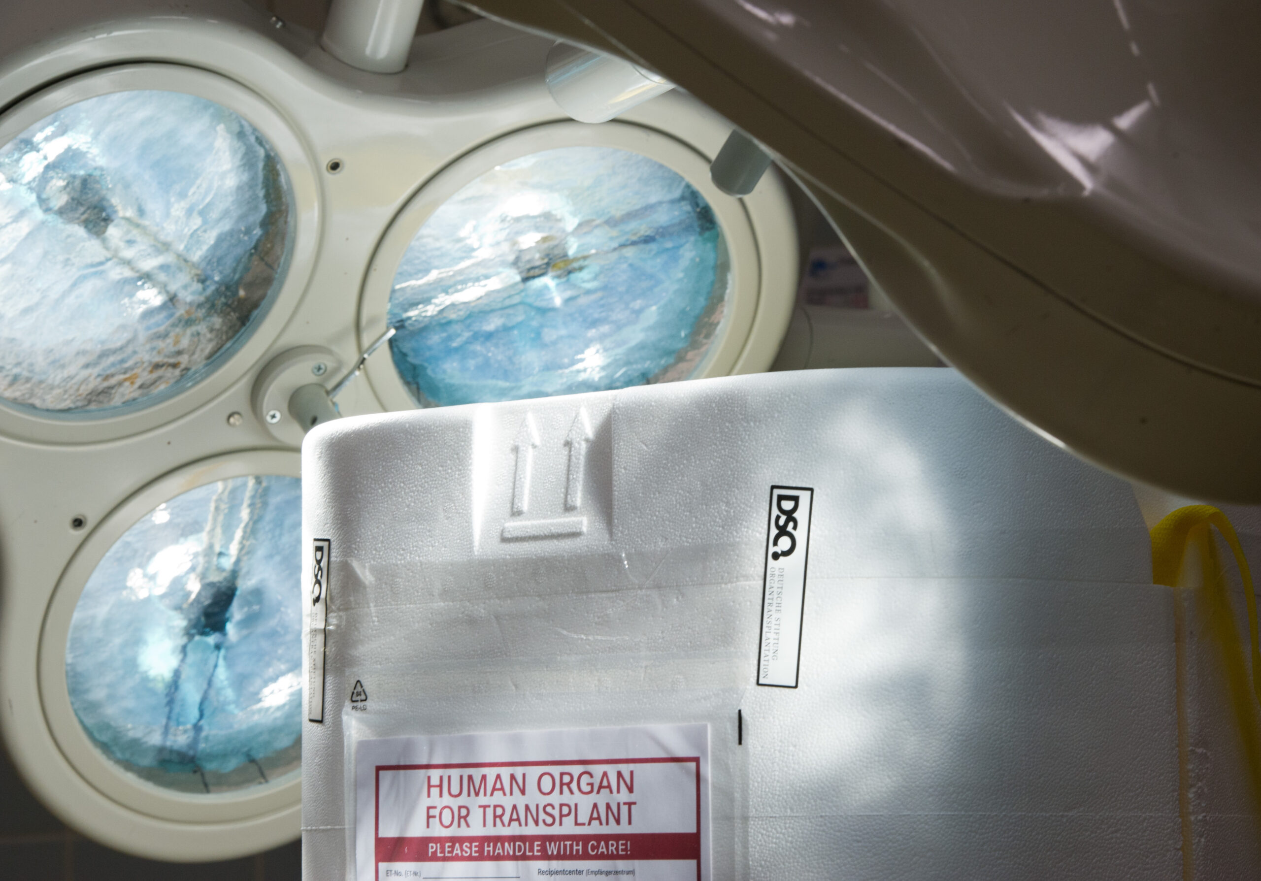 Il dramma del cuore ‘bruciato’: dal ghiaccio secco alle procedure per il trapianto