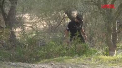 Proseguono le ricerche di Nancy Guthrie: l'FBI bussa porta a porta