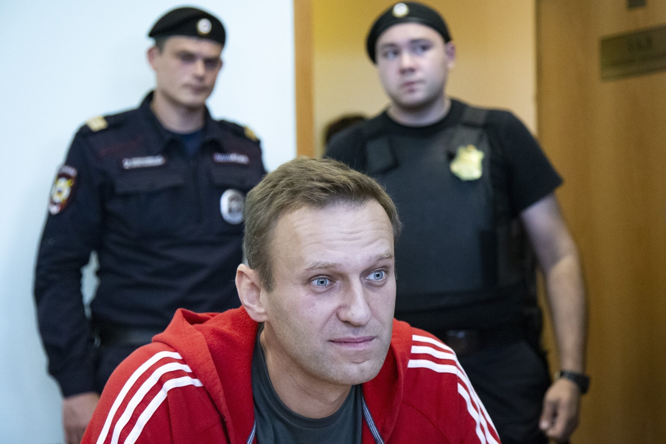 Navalny, cinque Paesi europei: “Morto per avvelenamento da tossina rana freccia” Navalny, cinque Paesi europei: “Morto per avvelenamento da tossina rana freccia”