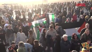 La furia di Francesca Pascale contro i manifestanti Pro Pal al Carnevale di Viareggio: "Vergogna, lavatevi"