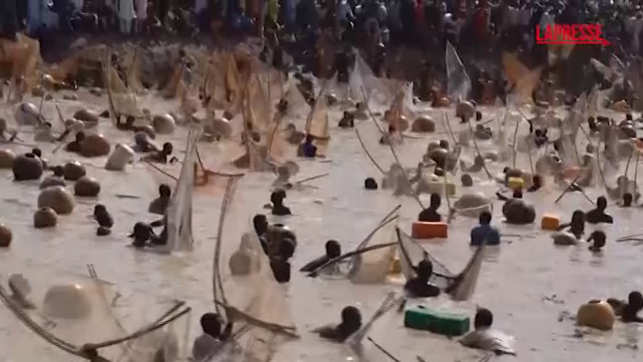 nigeria migliaia di pescatori al festival internazionale di argungu da Lapresse.it nigeria migliaia di pescatori al festival internazionale di argungu