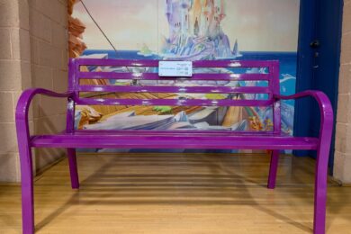 Epilessia, al San Raffaele di Roma la ‘panchina viola’ contro i pregiudizi