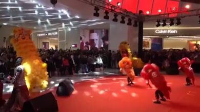 Capodanno cinese 2026, show dei robot a Pechino