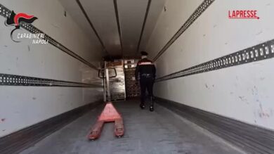 Napoli, droga nascosa tra le zucche: maxi sequestro di un carico proveniente da Barcellona
