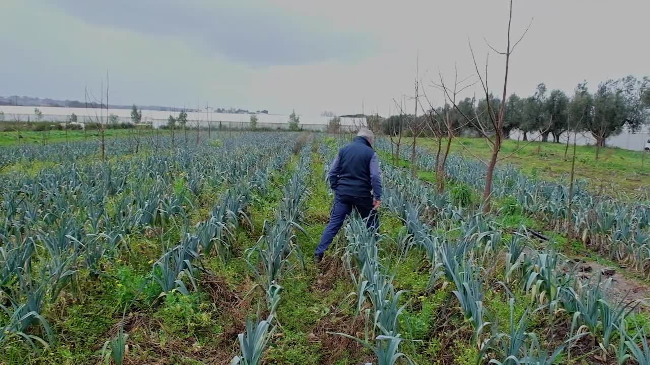 tg green 26 febbraio 8211 salute e ambiente parte del prezzo del cibo la nuova campagna di naturas236 da Lapresse.it tg green 26 febbraio 8211 salute e ambiente parte del prezzo del cibo la nuova campagna di naturas236