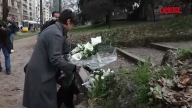 Tram deragliato a Milano: fiori bianchi Atm su luogo incidente a Milano