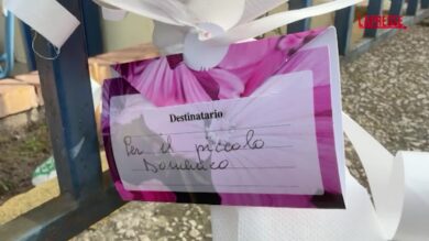 Trapianto Napoli, oggi l’autopsia sul corpo di Domenico: all’obitorio mazzo di fiori per il piccolo