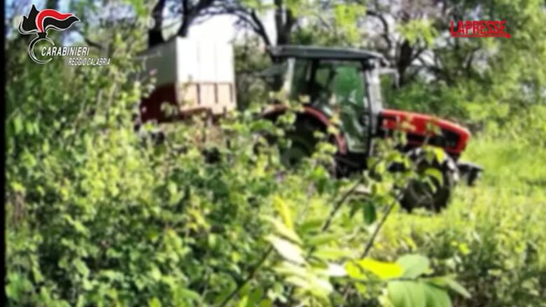Reggio Calabria, discarica clandestina in Piana Gioia Tauro: 15 denunce e sequestri